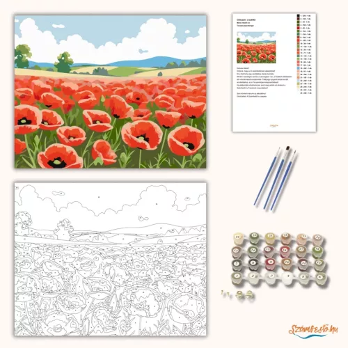 Tavaszi pipacstenger - számfestő készlet - Számfestő.hu - 40×50cm - Keretre feszítve