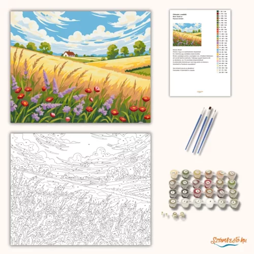 Pipacsos dombok - számfestő készlet - Számfestő.hu - 50×60cm - Keret nélkül