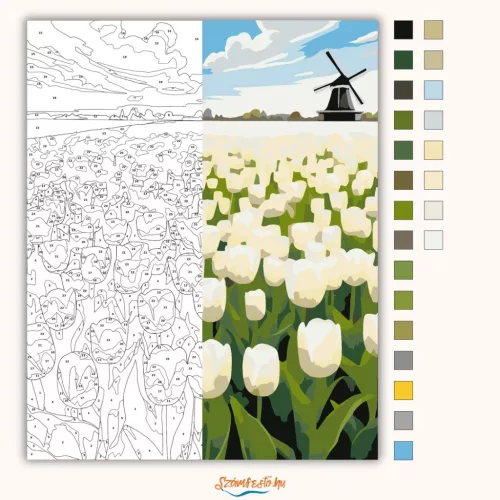 Üde tulipánmező - számfestő készlet - Számfestő.hu - 50×60cm - Keret nélkül