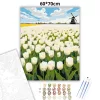 Üde tulipánmező - számfestő készlet - Számfestő.hu - 60×70cm - Keretre feszítve