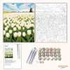 Üde tulipánmező - számfestő készlet - Számfestő.hu - 80×100cm - Keretre feszítve