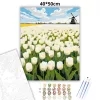 Üde tulipánmező - számfestő készlet - Számfestő.hu - 40×50cm - Keretre feszítve