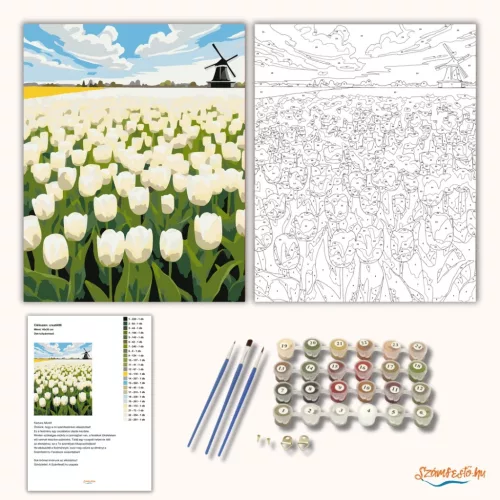 Üde tulipánmező - számfestő készlet - Számfestő.hu - 40×50cm - Keret nélkül