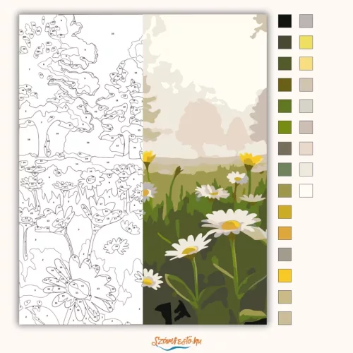 Párás vadvirágos rét - számfestő készlet - Számfestő.hu - 60×70cm - Keret nélkül