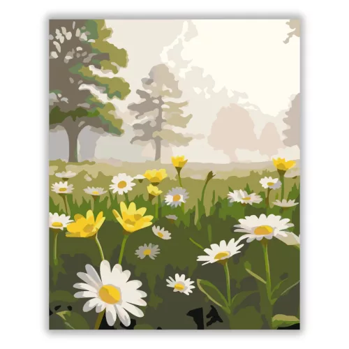 Párás vadvirágos rét - számfestő készlet - Számfestő.hu - 60×70cm - Keretre feszítve