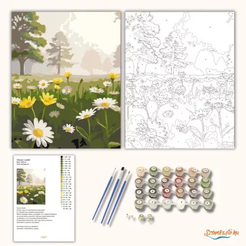 Párás vadvirágos rét - számfestő készlet - Számfestő.hu - 80×100cm - Keretre feszítve