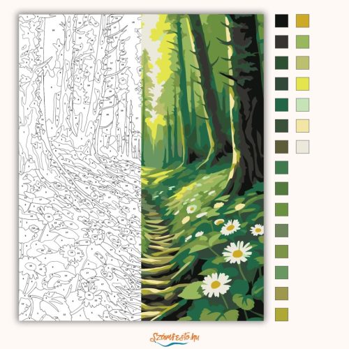 Üde erdei ösvény - számfestő készlet - Számfestő.hu - 50×60cm - Keretre feszítve