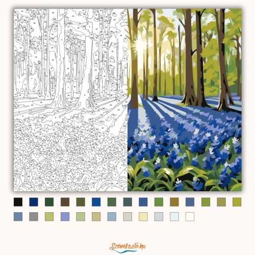 Napsütötte harangvirág mező - számfestő készlet - Számfestő.hu - 60×70cm - Keret nélkül