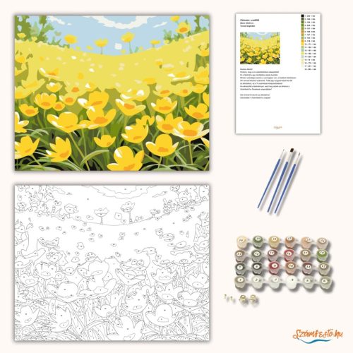 Tavaszi boglárkák - számfestő készlet - Számfestő.hu - 50×60cm - Keretre feszítve