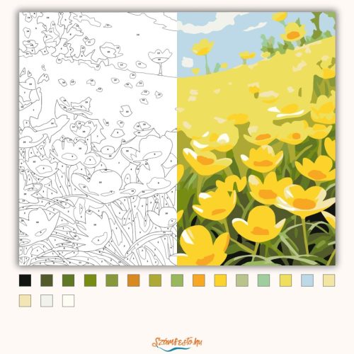 Tavaszi boglárkák - számfestő készlet - Számfestő.hu - 80×100cm - Keretre feszítve