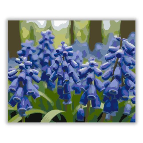 Tavaszi gyöngyikék - számfestő készlet - Számfestő.hu - 60×70cm - Keretre feszítve