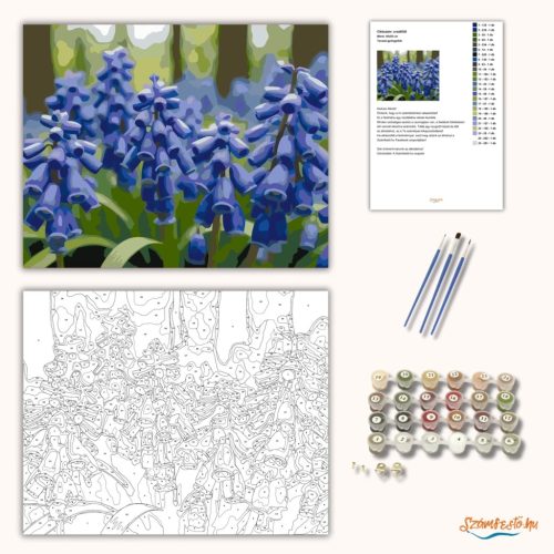 Tavaszi gyöngyikék - számfestő készlet - Számfestő.hu - 40×50cm - Keretre feszítve