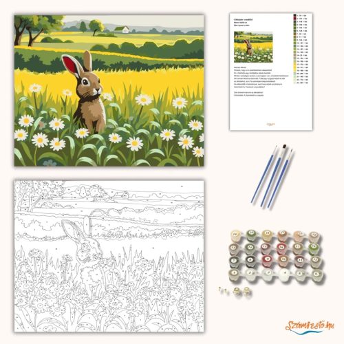 Éber nyuszi a réten - számfestő készlet - Számfestő.hu - 60×70cm - Keret nélkül