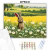 Éber nyuszi a réten - számfestő készlet - Számfestő.hu - 40×50cm - Keretre feszítve