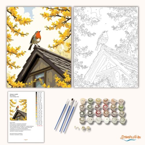 Tavaszi vörösbegy a tetőn - számfestő készlet - Számfestő.hu - 80×100cm - Keretre feszítve