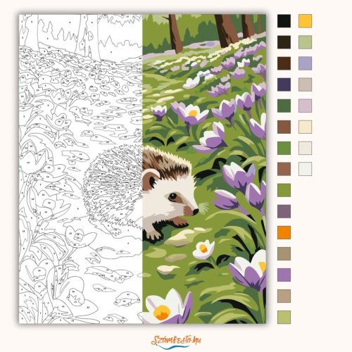 Tavaszi sünike - számfestő készlet - Számfestő.hu - 40×50cm - Keret nélkül