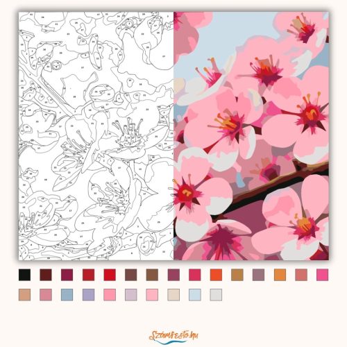 Cseresznyevirág szirmai - számfestő készlet - Számfestő.hu - 40×50cm - Keret nélkül