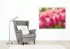 Pirkadati tulipánok - számfestő készlet - Számfestő.hu - 50×60cm - Keretre feszítve