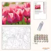 Pirkadati tulipánok - számfestő készlet - Számfestő.hu - 80×100cm - Keret nélkül
