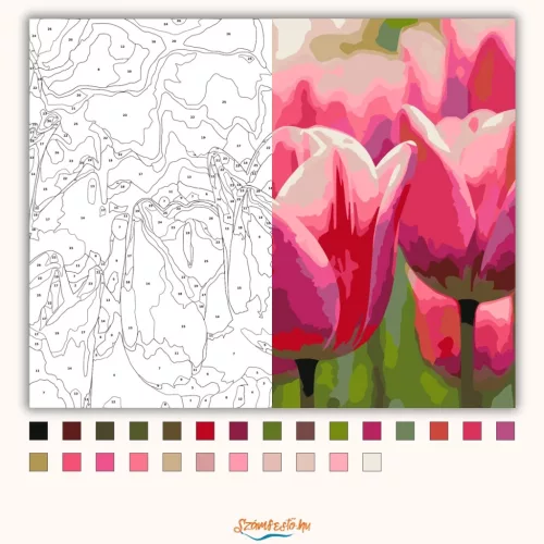 Pirkadati tulipánok - számfestő készlet - Számfestő.hu - 80×100cm - Keretre feszítve