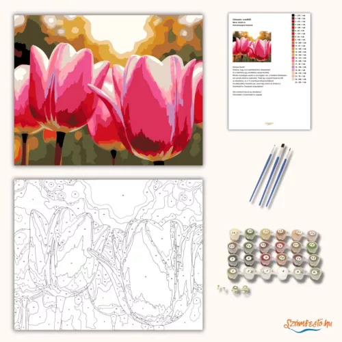 Harmatcseppes tulipánok - számfestő készlet - Számfestő.hu - 50×60cm - Keret nélkül