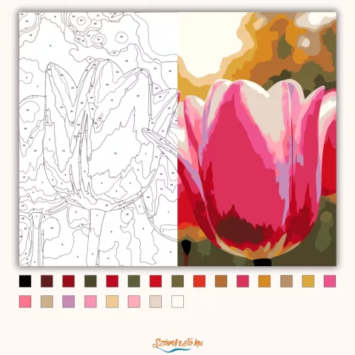 Harmatcseppes tulipánok - számfestő készlet - Számfestő.hu - 60×70cm - Keretre feszítve