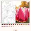 Harmatcseppes tulipánok - számfestő készlet - Számfestő.hu - 80×100cm - Keretre feszítve