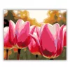 Harmatcseppes tulipánok - számfestő készlet - Számfestő.hu - 80×100cm - Keret nélkül