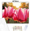 Harmatcseppes tulipánok - számfestő készlet - Számfestő.hu - 40×50cm - Keret nélkül
