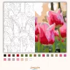 Üde tulipánszirmok - számfestő készlet - Számfestő.hu - 80×100cm - Keretre feszítve