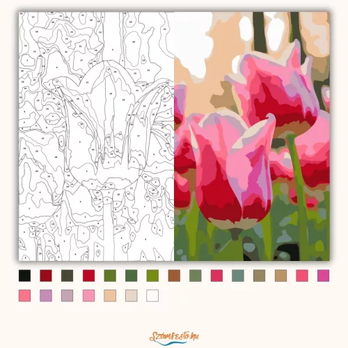 Üde tulipánszirmok - számfestő készlet - Számfestő.hu - 80×100cm - Keretre feszítve