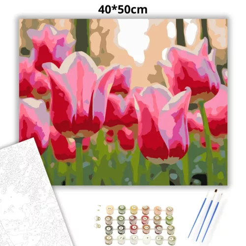 Üde tulipánszirmok - számfestő készlet - Számfestő.hu - 40×50cm - Keret nélkül