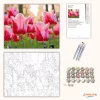 Üde tulipánszirmok - számfestő készlet - Számfestő.hu - 40×50cm - Keretre feszítve