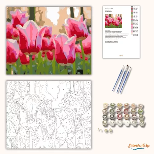 Üde tulipánszirmok - számfestő készlet - Számfestő.hu - 40×50cm - Keretre feszítve