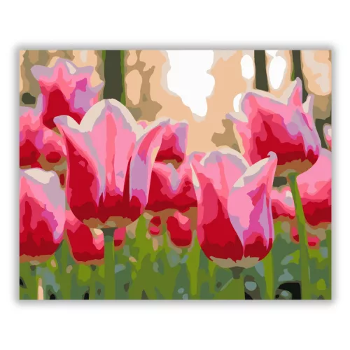 Üde tulipánszirmok - számfestő készlet - Számfestő.hu - 40×50cm - Keretre feszítve
