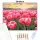 Aranyló tulipán tenger - számfestő készlet - Számfestő.hu - 50×60cm - Keretre feszítve