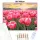 Aranyló tulipán tenger - számfestő készlet - Számfestő.hu - 80×100cm - Keretre feszítve