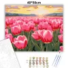 Aranyló tulipán tenger - számfestő készlet - Számfestő.hu - 40×50cm - Keret nélkül