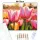Csodálatos tulipánok - számfestő készlet - Számfestő.hu - 60×70cm - Keretre feszítve