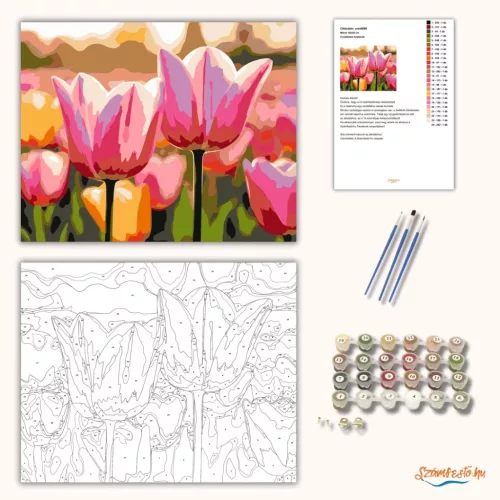 Csodálatos tulipánok - számfestő készlet - Számfestő.hu - 80×100cm - Keretre feszítve