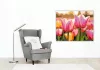 Csodálatos tulipánok - számfestő készlet - Számfestő.hu - 80×100cm - Keret nélkül