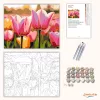 Csodálatos tulipánok - számfestő készlet - Számfestő.hu - 40×50cm - Keret nélkül