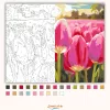 Tulipántenger - számfestő készlet - Számfestő.hu - 50×60cm - Keret nélkül