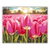 Tulipántenger - számfestő készlet - Számfestő.hu - 50×60cm - Keret nélkül