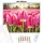 Tulipántenger - számfestő készlet - Számfestő.hu - 80×100cm - Keretre feszítve