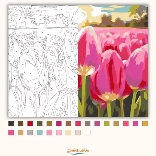 Tulipántenger - számfestő készlet - Számfestő.hu - 40×50cm - Keretre feszítve