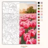 Tulipánmező - számfestő készlet - Számfestő.hu - 50×60cm - Keretre feszítve