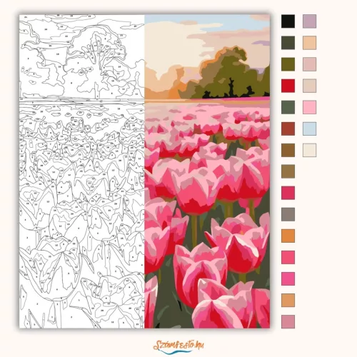 Tulipánmező - számfestő készlet - Számfestő.hu - 50×60cm - Keret nélkül