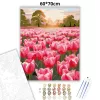 Tulipánmező - számfestő készlet - Számfestő.hu - 60×70cm - Keret nélkül