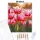 Harmatfényű tulipánok - számfestő készlet - Számfestő.hu - 50×60cm - Keret nélkül
